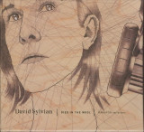 DAVID SYLVIAN - DIED IN THE WOOL, 2011 - CD dublu, Rock