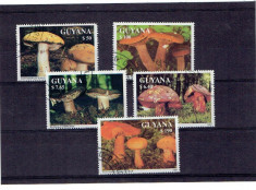 Guyana - ciuperci 1991 foto