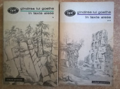 Gindirea lui Goethe in texte alese {2 volume} foto