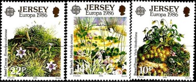 Europa-cept 1986 - Jersey 3v.neuzat,perfecta stare(z) foto
