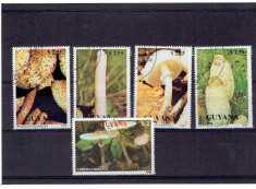 Guyana 1990 ciuperci - stampilata foto