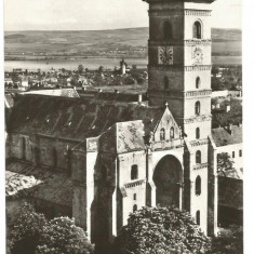 @carte postala(ilustrata)-ALBA IULIA-Catedrala romano-catolica