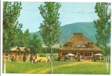 @carte postala(ilustrata)-SARMISEGETUZA -cabana