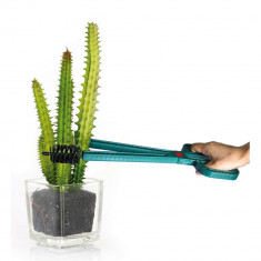 Cleste pentru cactus! foto