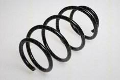 Arc spiral BMW 5 limuzina 540 i - TRISCAN 8750 1162 foto