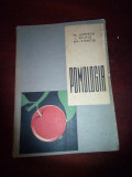 POMOLOGIA - Fl. Lupescu, I. Militiu, Gh. Stanciu (1961)