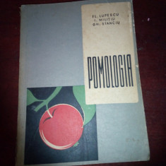 POMOLOGIA - Fl. Lupescu, I. Militiu, Gh. Stanciu (1961)