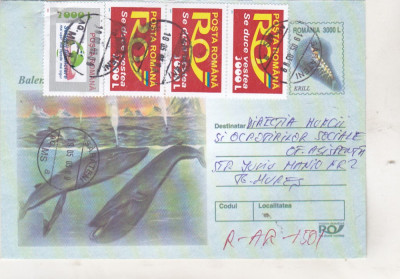 bnk fil Istoria ilustrata a vanatorii de balene - Intreg postal 2002 circulat foto