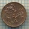 10263 MONEDA - TURCIA - 5 KURUS -anul 1968 -starea care se vede