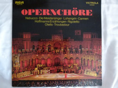 Opernchore - vinyl foto