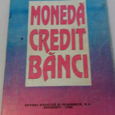 MONEDA CREDIT BANCI- CEZAR BASNO, NICOLAE DARDAC, CONSTANTIN FLORICEL