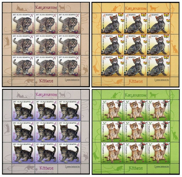 BELARUS 2017 PISICI