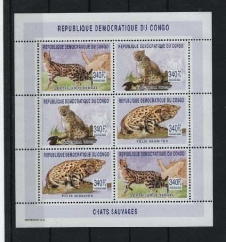 DR CONGO 2003 FELINE PISICI SALBATICE COTA MICHEL 26 EURO