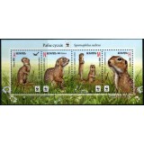 BELARUS 2015 SPECII PROTEJATE WWF VEVERITE