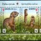 BELARUS 2015 SPECII PROTEJATE WWF VEVERITE