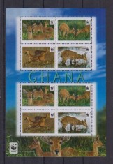 GHANA 2012 WWF FAUNA PROTEJATA ANTILOPE foto