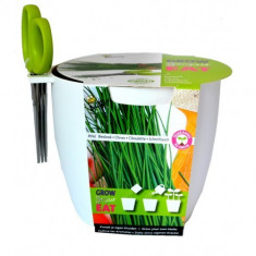 Kit pentru Cultivare Chives (Arpagic) cu Foarfeca - ALB, Buzzy Seeds foto