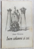 Cumpara ieftin IOAN MEITOIU-INTRE COLUMNE SI ZEI&#039;96/coperta M.CHIRNOAGA/vignete MIHU VULCANESCU