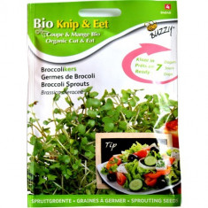 Seminte de Brocoli pentru Germinat Ecologic/BIO, Buzzy Seeds foto