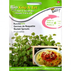 Seminte de Rucola pentru Germinat Ecologic/BIO, Buzzy Seeds foto