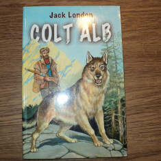 Colt Alb de Jack London