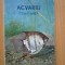 d9 Acvariu Constanta - Marcel Stanciu