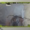 Capac Display Sony Vaio VPCCA PCG-61714M