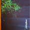 Mouse Pad Razer Goliathus Control Edition 320*240 Size M,Nou,