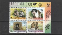 Fauna WWF maimute Guineea.