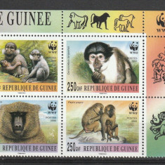 Fauna WWF maimute Guineea.