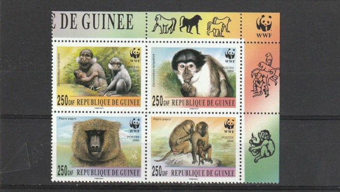 Fauna WWF maimute Guineea.