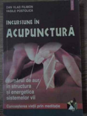 Incursiune In Acupunctura - Dan Vlad Filimon, Vasile Postolica ,394892 foto