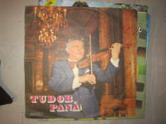 vinil tudor pana foto