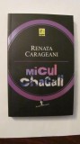 AF - Renata CARAGEANI &quot;Micul Chagall&quot;, Alta editura