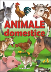 Animale domestice - 3998 foto