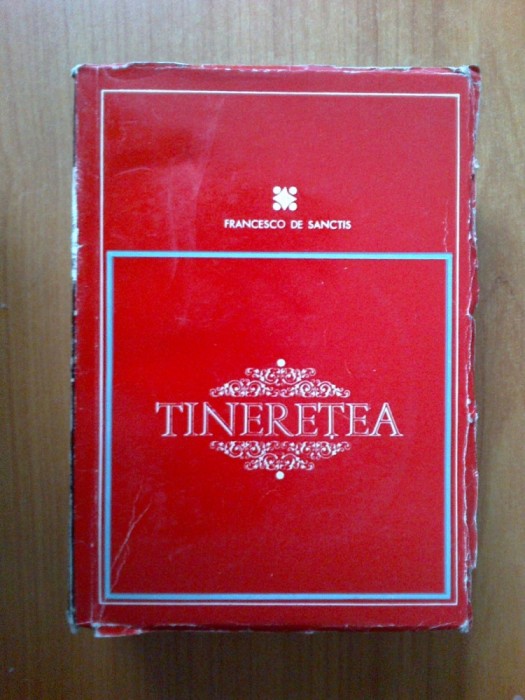 h1a Francesco De Sanctis &ndash; Tineretea