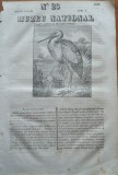 Muzeu national ; gazeta literara si industriala , nr. 23 , 1836 , gravura