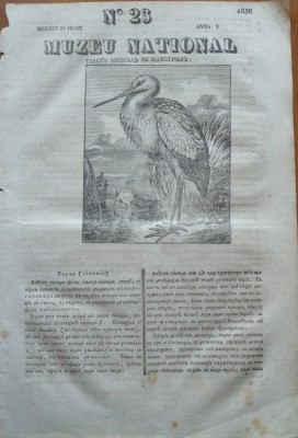 Muzeu national ; gazeta literara si industriala , nr. 23 , 1836 , gravura foto
