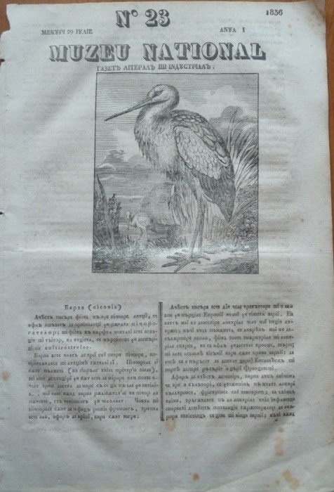 Muzeu national ; gazeta literara si industriala , nr. 23 , 1836 , gravura