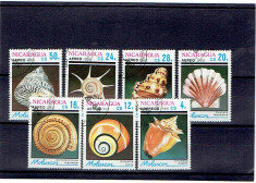 Nicaragua - shells 1998 stampilata seria foto