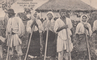 TARGOVISTE , TARANI ROMANI IN COSTUME POPULARE , LA MUNCA CAMPULUI foto