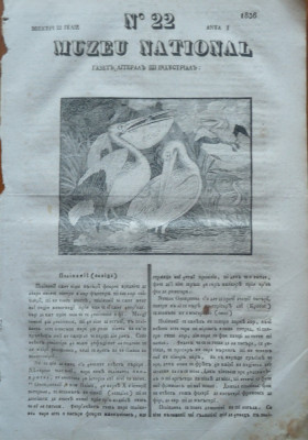 Muzeu national ; gazeta literara si industriala , nr. 22 , 1836 , gravura foto