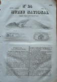 Muzeu national ; gazeta literara si industriala , nr. 24 , 1836 , gravura