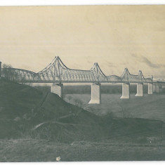 772 - CERNAVODA, Dobrogea, Bridge - old postcard, real PHOTO - unused