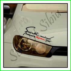 Sticker Far-Sports Mind-Renault Symbol_Tuning Auto_Cod: FAR-031_Dim: 25 cm. foto