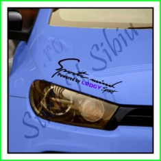 Sticker Far-Sports Mind-Dacia Lodgy_Tuning Auto_Cod: FAR-046_Dim: 25 cm. x 9. foto