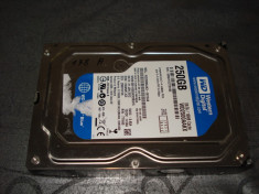 HDD Western Digital 250GB S-ata model WD2500AAKX 16MB buffer foto