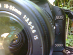 Canon EOS 500D foto