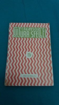 CULTURA SFECLEI DE ZAHAR / C. FILIPESCU /1931 * 25 foto