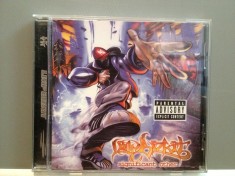 LIMP BIZKIT - SIGNIFICANT OTHER (1999/Interscope rec/Germany) - CD ORIGINAL foto
